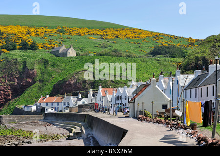 Pennan, ein kleines Dorf in Aberdeenshire, Schottland, Vereinigtes Königreich Stockfoto