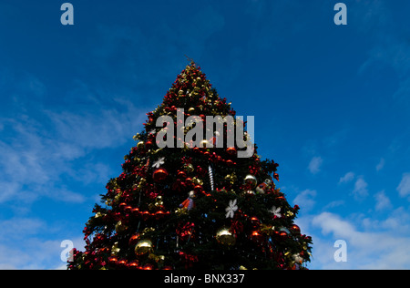 Weihnachtsbaum am Pier 39 in San Francisco CA California Stockfoto