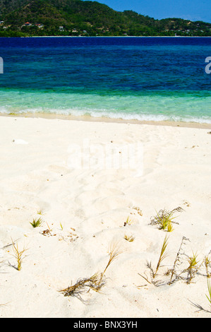 Meeresschildkröte-Tracks und Nest auf Sandy Insel Carriacou, Grenada. Stockfoto