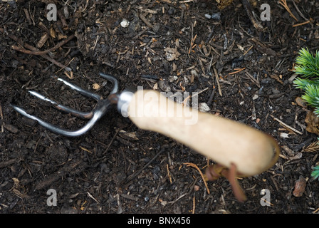 Hand fork digging over soil. Stockfoto