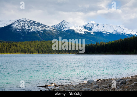 Patricia-See mit Blick auf den indischen Ridge Jasper Nationalpark Alberta Kanada Stockfoto