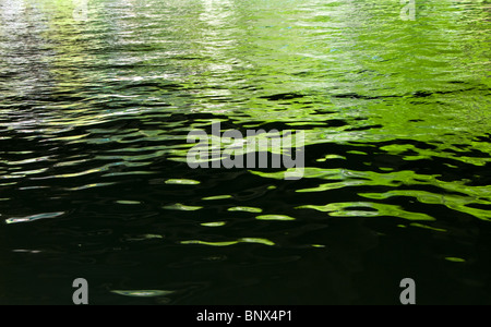 Reflexionen im Paseo del Rio in der Innenstadt von San Antonio, Texas, USA Stockfoto