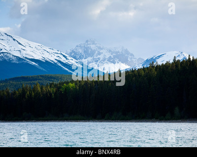 Patricia-See mit Blick auf den Indian Ridge und Roche Noire Jasper Nationalpark Alberta Kanada Stockfoto