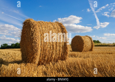 Bereich der Stroh Rundballen nach Weizen-Ernte - Indre-et-Loire, Frankreich. Stockfoto