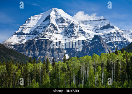 Mt Robson 3954m der höchste Punkt in den kanadischen Rocky Mountains von der Yellowhead Highway BC Kanada betrachtet Stockfoto