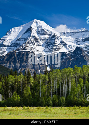 Mt Robson 3954m der höchste Punkt in den kanadischen Rocky Mountains von der Yellowhead Highway BC Kanada betrachtet Stockfoto