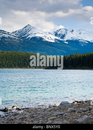 Patricia-See mit Blick auf den indischen Ridge Jasper Nationalpark Alberta Kanada Stockfoto