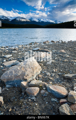 Patricia-See mit Blick auf den indischen Ridge Jasper Nationalpark Alberta Kanada Stockfoto