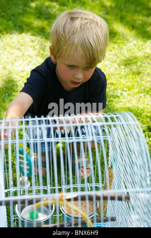 Papagei im Käfig außerhalb Stockfoto