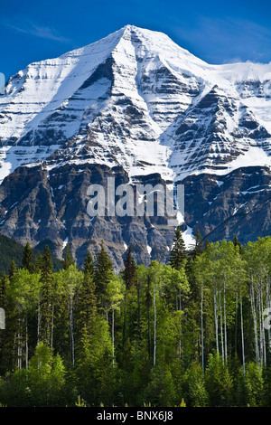 Mt Robson 3954m der höchste Punkt in den kanadischen Rocky Mountains von der Yellowhead Highway BC Kanada betrachtet Stockfoto