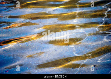 Farben von Meerwasser, farbigen Wellen in Wellen. Stockfoto