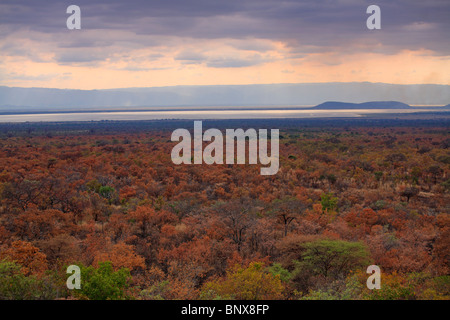 Tarangire-Nationalpark bei Sonnenuntergang, Tansania Stockfoto