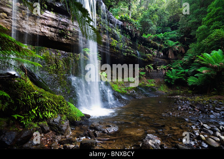 Russell verliebt sich in Mt Field National Park, Tasmanien, Australien Stockfoto