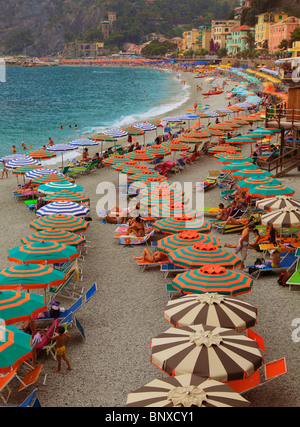Schirme bilden eine gekrümmte Linie am Strand von Monterosso, eines der fünf Städte in Italien Cinque Terre Stockfoto