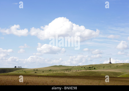 Blick auf das Lansdowne Monument, Wiltshire Stockfoto