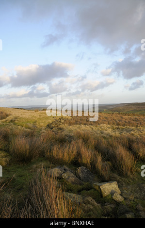 Der Pennine Moors über Haworth, Yorkshire Stockfoto