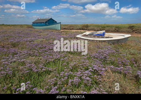 Strandflieder Limonium Vulgare und Boote Morston Sümpfe Norfolk UK Juli Stockfoto