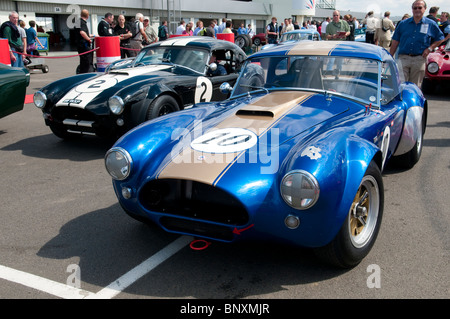 AC Cobra Sportwagen 2010 Silverstone Classic im Vereinigten Königreich Stockfoto