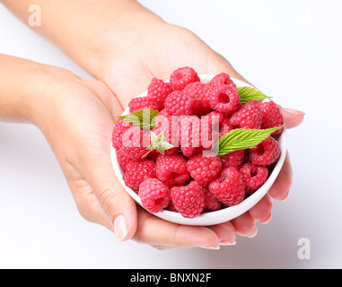 Geschirr mit Himbeeren in Händen der Frau. Isoliert auf weißem Hintergrund. Stockfoto