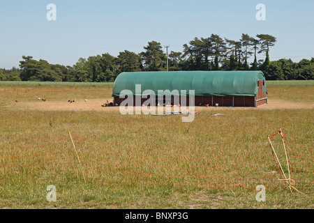 Eine grüne Freilandhaltung Hühnerstall in Dorset, England. Stockfoto