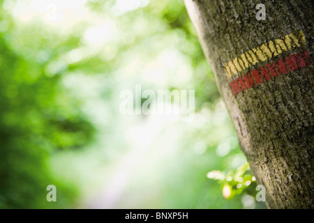 Baumstamm mit Wandern Wanderweg Blesse markiert Stockfoto