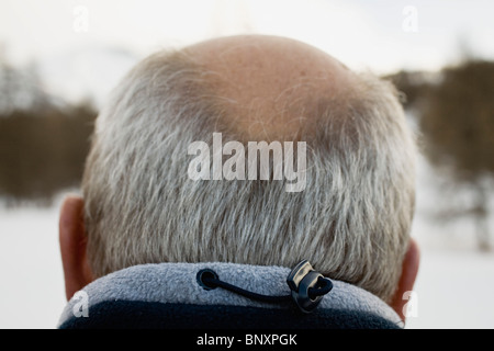 Senior woman Geheimratsecken, Rückansicht Stockfoto