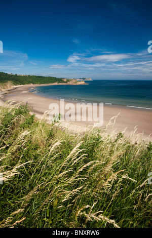 Aussicht auf Cayton Bucht in Richtung Scarborough an einem warmen Sommertag Stockfoto