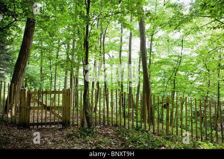 Wanderweg führt durch Wälder von blockiert geschlossen Tor Stockfoto