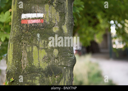 Baumstamm mit Wandern Wanderweg Blesse markiert Stockfoto