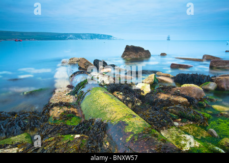 Morgendämmerung am Peverell Punkt in Swanage Blick auf Old Harry Rocks, Dorset, Großbritannien Stockfoto