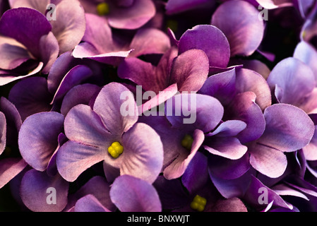 Seidenblumen Stockfoto