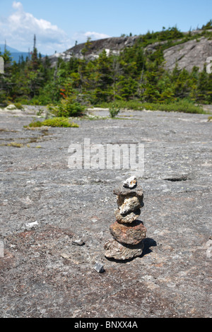 Caribou - gesprenkelten Bergwildnis - White Mountain National Forest in Maine, USA Stockfoto