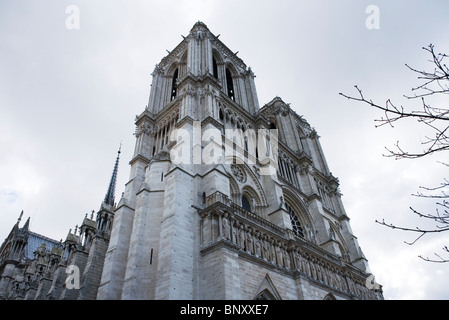 Kathedrale Notre-Dame, Paris, Frankreich Stockfoto