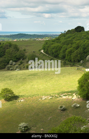 Ein Blick auf die Gegend um Mount Carvey in der South Downs National Park. Stockfoto