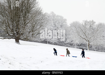 Kinder Rodeln auf einem schneebedeckten Hügel. Wrington, Somerset, England. Stockfoto