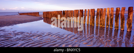 Hölzerne Buhne Pole spiegelt sich in stehende Meerwasser am Strand von Cadzand-Bad, Niederlande. Stockfoto