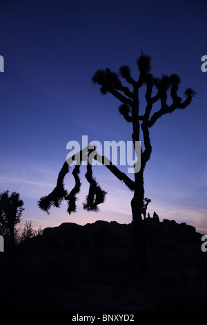 Schöne Sand Dünen im Death Valley in Kalifornien Stockfoto