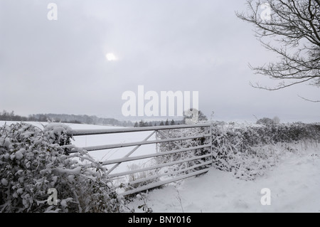 Eine Winterlandschaft nach dem nächtlichen Schnee in der Nähe von Wrington, Somerset, England. Stockfoto