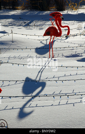 Kunststoff Flamingos an einem frühen Frühlingstag im Zoo von Calgary Stockfoto