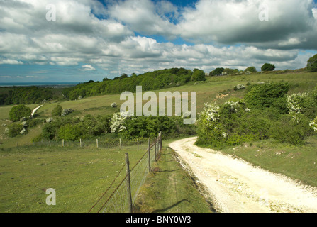 Ein Blick auf die Gegend um Mount Carvey in der South Downs National Park. Stockfoto