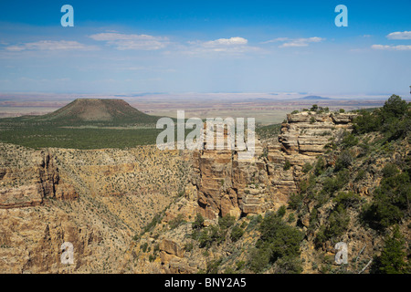 Grand-Canyon-Nationalpark USA - Desert View am Südrand. Zeigen Sie mit Cedar Mountain Mesa an. Stockfoto