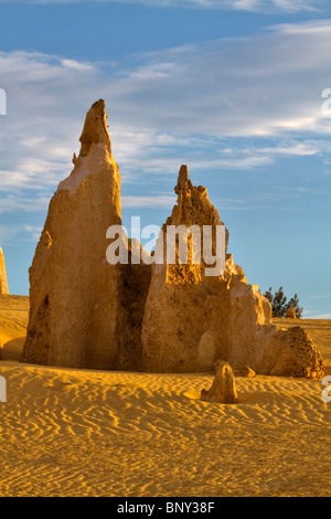 Die Pinnacles, Nambung National Park, Western Australia. Ungewöhnliche Kalkstein Felsspitzen in einem gelben Äolischen Sand der Wüste. Stockfoto