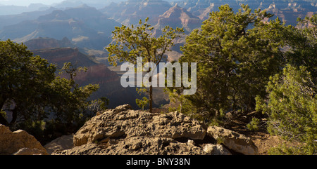 Grand CanyonNationalpark USA - Blick vom Yavapai Aussichtspunkt in der Nähe von Yavapai Beobachtungsstation, Südrand. Stockfoto