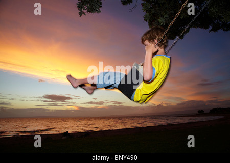 Junge auf Seil Schaukel unter Pohutukawa Baum bei Sonnenuntergang, Themse, Coromandel, Nordinsel, Neuseeland Stockfoto