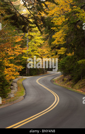 Kurvenreiche Straße, Park Loop Road, Acadia National Park, Maine, USA Stockfoto