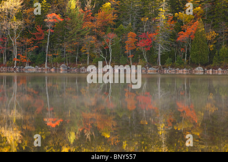 Ufer des Jordan Pond im Herbst, Acadia National Park, Maine, USA Stockfoto