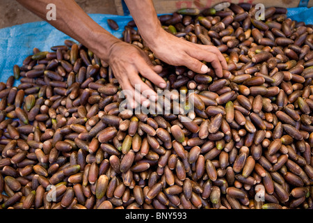 Schwarze Termine auf dem Markt von Taroudant, Marokko Stockfoto