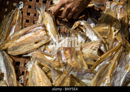 Getrockneter Fisch Stockfoto