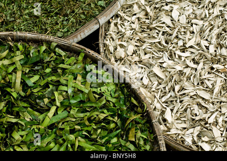 Getrocknete Lebensmittel Produkte im Markt des Dorfes von Cai Be, Tien Giang Provinz, Region Mekong Delta, Vietnam Stockfoto