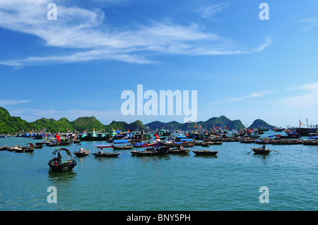 Angelboot/Fischerboot in Cat Ba-Stadt, Vietnam Stockfoto